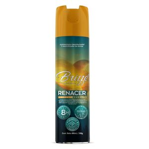 Ambientador en aerosol Renacer 400 lm Brizze